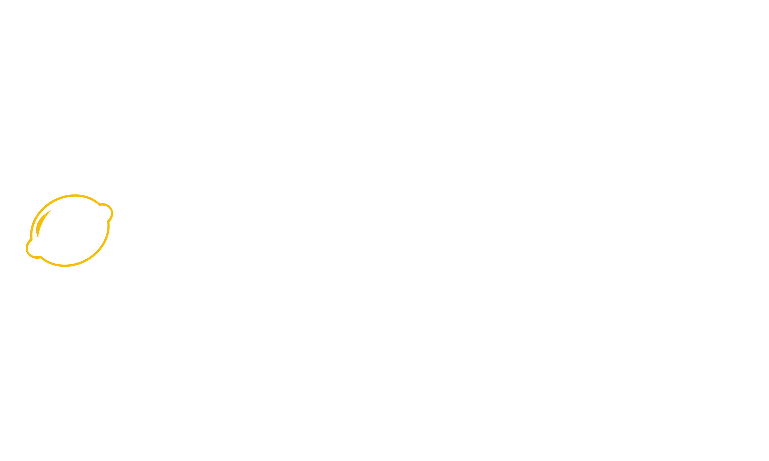 Lemon Garage